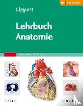 Lippert, Herbert - Lehrbuch Anatomie