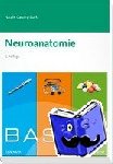 Garzorz-Stark, Natalie - Basics Neuroanatomie