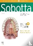  - Sobotta Atlas der Anatomie für Zahnmedizin