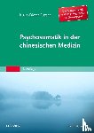 Platsch, Klaus-Dieter - Psychosomatik in der Chinesischen Medizin