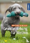 Fichtlmeier, Anton - Grunderziehung für Welpen