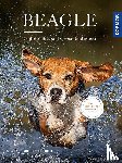 Strodtbeck, Sophie - Beagle