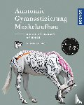 Higgins, Gillian - Anatomie, Gymnastizierung, Muskelaufbau