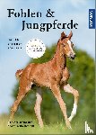 Schmidtlein, Beate, Ochsenbauer, Ute - Fohlen und Jungpferde