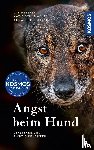 Heberer, Ute, Schumacher, Katja, Pietschmann, Anna - Angst beim Hund