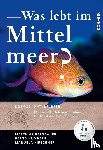 Bergbauer, Matthias, Humberg, Bernd, Kirschner, Manuela - Was lebt im Mittelmeer?