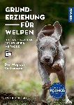 Fichtlmeier, Anton - Grunderziehung für Welpen