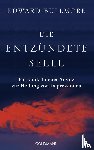 Bullmore, Edward - Die entzündete Seele