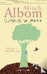 Albom, Mitch - Dienstags bei Morrie