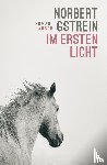 Gstrein, Norbert - Im ersten Licht
