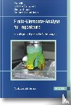 Rieg, Frank, Alber-Laukant, Bettina, Tremmel, Stephan, Hackenschmidt, Reinhard - Finite-Elemente-Analyse für Ingenieure