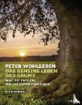 Wohlleben, Peter - Das geheime Leben der Bäume
