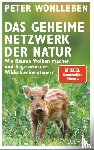 Wohlleben, Peter - Das geheime Netzwerk der Natur