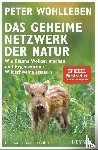 Wohlleben, Peter - Das geheime Netzwerk der Natur