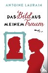 Laurain, Antoine - Das Bild aus meinem Traum