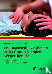 Nippold, Sebastian, Stern, Sophie - Traumasensibles Arbeiten in der Cranio-Sacralen Körpertherapie