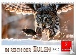 Roder, Peter - Im Reich der Eulen (Wandkalender 2026 DIN A3 quer), CALVENDO Monatskalender