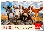 Roder, Peter - Esel - neugierige Typen (Wandkalender 2026 DIN A3 quer), CALVENDO Monatskalender