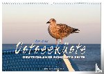 Haafke, Udo - An der Ostseeküste - Deutschlands schönste Seite (Wandkalender 2026 DIN A3 quer), CALVENDO Monatskalender