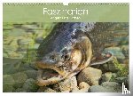 Stanzer, Elisabeth - Faszination Angeln und Fischen (Wandkalender 2026 DIN A3 quer), CALVENDO Monatskalender