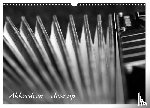 Drafz, Silvia - Akkordeon - close up (Wandkalender 2026 DIN A3 quer), CALVENDO Monatskalender