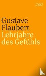 Flaubert, Gustave - Lehrjahre des Gefühls