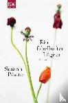 Pásztor, Susann - Ein fabelhafter Lügner