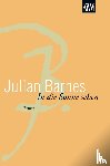 Barnes, Julian - In die Sonne sehen