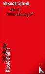 Schnell, Alexander - Was ist Phänomenologie?