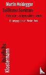 Heidegger, Martin - Zollikoner Seminare