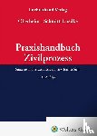 Oberheim, Rainer, Schmitt-Gaedke, Gernot - Praxishandbuch Zivilprozess