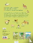  - Mein erstes Wimmelbuch: Tierkinder