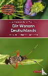 Deckert, Jürgen, Wachmann, Ekkehard - Die Wanzen Deutschlands
