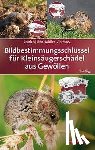 Jenrich, Joachim, Löhr, Paul-Walter, Müller, Franz, Vierhaus, Henning - Bildbestimmungsschlüssel für Kleinsäugerschädel aus Gewöllen