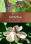  - Fitschen - Gehölzflora