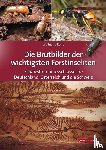 Rohe, Wolfgang - Die Brutbilder der wichtigsten Forstinsekten
