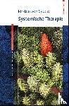 Sydow, Kirsten von - Systemische Therapie