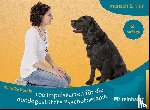 Domin, Mareike - 100 Impulskarten für die hundegestützte Psychotherapie