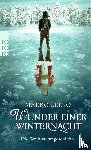 Leino, Marko - Wunder einer Winternacht