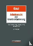  - Das Arbeitsrecht der Umstrukturierung