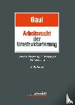  - Das Arbeitsrecht der Umstrukturierung