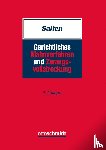 Salten, Uwe - Gerichtliches Mahnverfahren und Zwangsvollstreckung