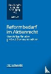  - Reformbedarf im Aktienrecht