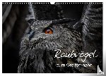 Milfeit, Michael - Raubvögel zum Greifen nahe (Wandkalender 2026 DIN A3 quer), CALVENDO Monatskalender