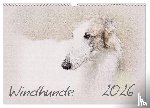 Redecker, Andrea - Windhunde 2026 (Wandkalender 2026 DIN A3 quer), CALVENDO Monatskalender