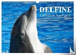 Stanzer, Elisabeth - Delfine - Lächelnde Intelligenz (Wandkalender 2026 DIN A3 quer), CALVENDO Monatskalender