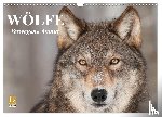 Stanzer, Elisabeth - Wölfe. Verwegene Anmut (Wandkalender 2026 DIN A3 quer), CALVENDO Monatskalender