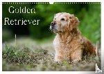 Noack, Nicole - Golden Retriever (Wandkalender 2026 DIN A3 quer), CALVENDO Monatskalender
