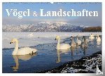 Birdimagency. Com, Birdimagency. Com - Vögel & Landschaften (Wandkalender 2026 DIN A2 quer), CALVENDO Monatskalender