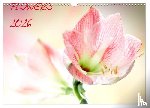 Und Max Waldecker, Axel - Flowers / 2026 (Wandkalender 2026 DIN A3 quer), CALVENDO Monatskalender